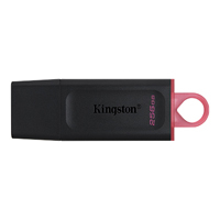 MEMORIA FLASH USB KINGSTON DATA TRAVELER EXODIA 256GB GEN 1 3.2 TIPO A NEGRO + ROSA (DTX/256GB)