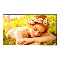 MONITOR DE SEÑALIZACION DIGITAL LG DE 55 PLG USO 24/7 BRILLO 500 NITS, 8MS 60HZ HDMI 3 HDCP 2.1/1.4 RS232 RJ45 USB A 2.0 SALIDA DE AUDIO SALIDA RS232, WEBOS 6.1