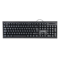 TECLADO TECHZONE TZ16TEC01-ALA ALAMBRICO STANDARD USB ERGONOMICO NEGRO